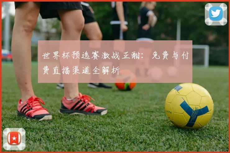 世界杯预选赛激战正酣:免费与付费直播渠道全解析