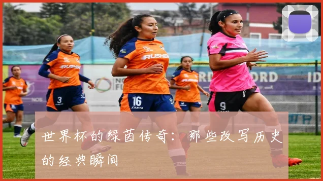 世界杯的绿茵传奇：那些改写历史的经典瞬间