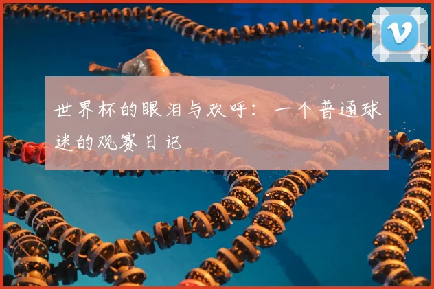 世界杯的眼泪与欢呼：一个普通球迷的观赛日记