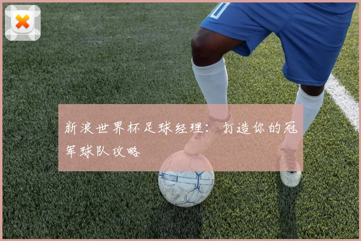 新浪世界杯足球经理：打造你的冠军球队攻略