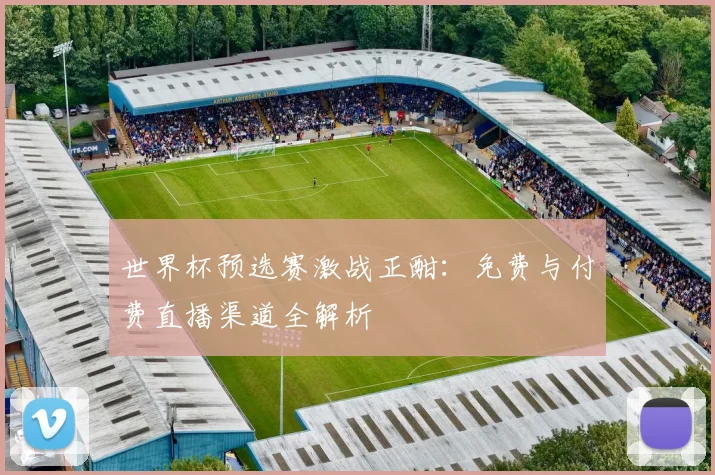 世界杯预选赛激战正酣:免费与付费直播渠道全解析