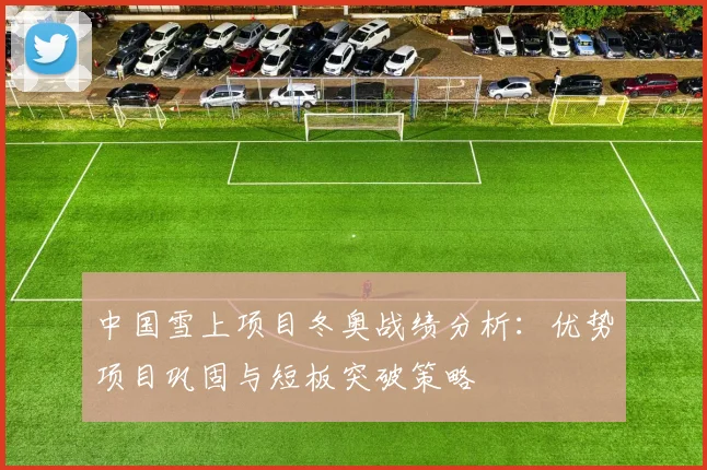 中国雪上项目冬奥战绩分析：优势项目巩固与短板突破策略
